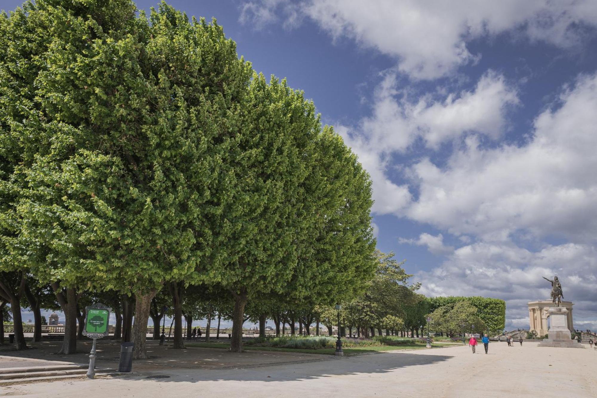 Terrasse En Ville - Premiere Conciergerie Montpellier Ngoại thất bức ảnh
